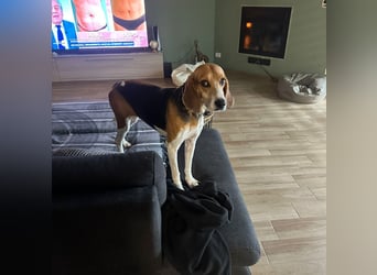 Luna - freundliches Mädchen