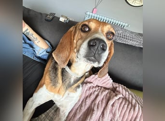 Luna - freundliches Mädchen