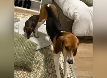 Luna - freundliches Mädchen