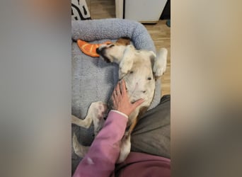EVA - freundliches Mädchen