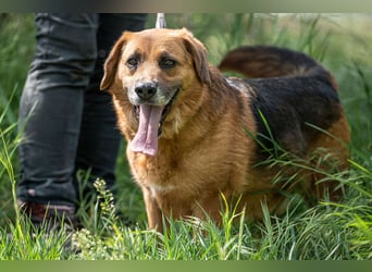 Marlo VA  möchte endlich ein Zuhause