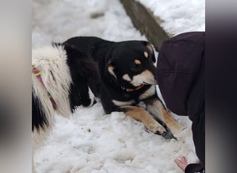 Reni ein sanfter verunsicherter Schatz