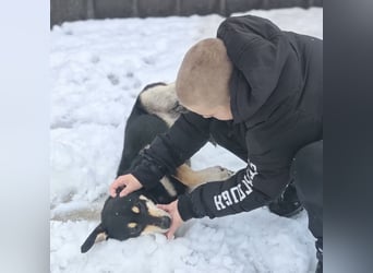 Reni ein sanfter verunsicherter Schatz