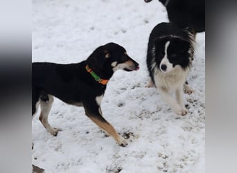 Reni ein sanfter verunsicherter Schatz