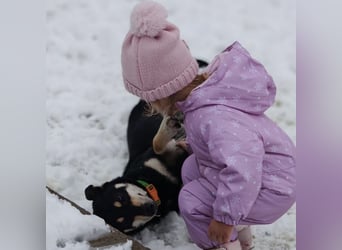 Reni ein sanfter verunsicherter Schatz