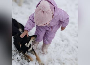 Reni ein sanfter verunsicherter Schatz