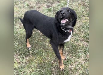 Kira ein Sonnenschein