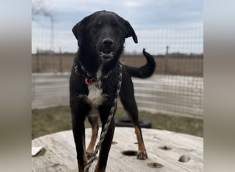 Kira ein Sonnenschein