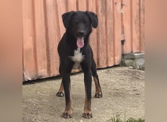 Kira ein Sonnenschein