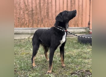 Kira ein Sonnenschein