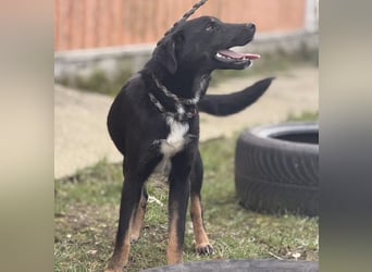 Kira ein Sonnenschein