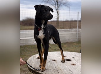 Kira ein Sonnenschein