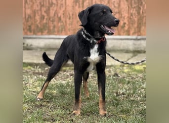 Kira ein Sonnenschein