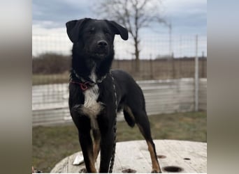 Kira ein Sonnenschein