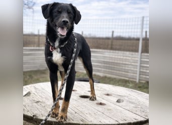 Kira ein Sonnenschein