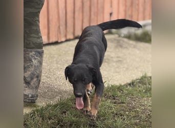 Kira ein Sonnenschein