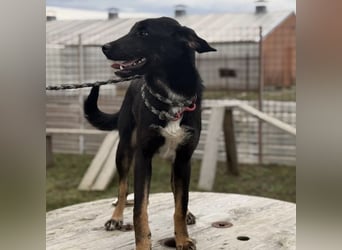 Kira ein Sonnenschein