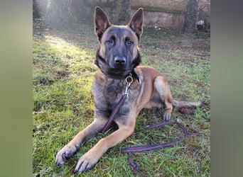 Asher ein Bildhübscher