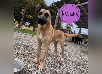 Manjana ein prachtvolles Mädchen