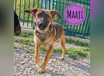 Maaji ein wundervolles Wesen