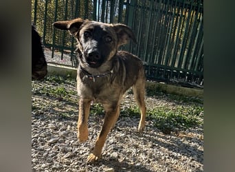 Maaji ein wundervolles Wesen