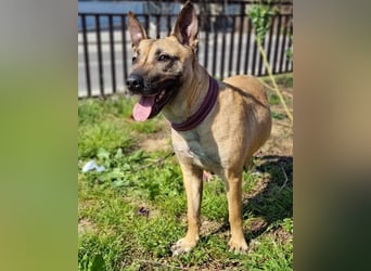 Rea ❤ sucht ihr Für-Immer-Familie