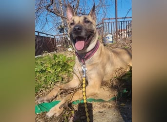 Rea ❤ sucht ihr Für-Immer-Familie