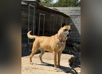 Rea ❤ sucht ihr Für-Immer-Familie