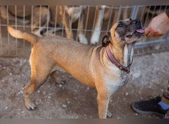 Rea ❤ sucht ihr Für-Immer-Familie