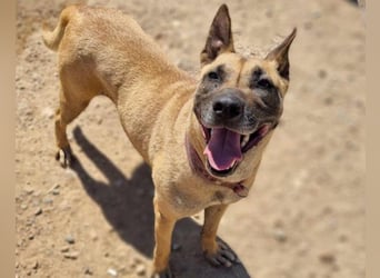 Rea sucht ihre Für-Immer-Familie