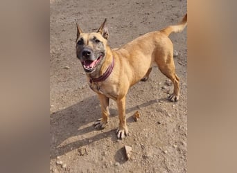 Rea ❤ sucht ihr Für-Immer-Familie