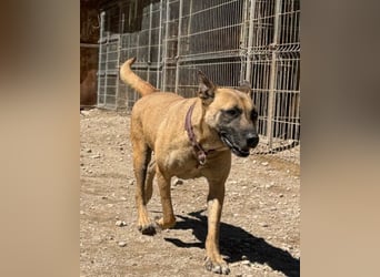 Rea ❤ sucht ihr Für-Immer-Familie