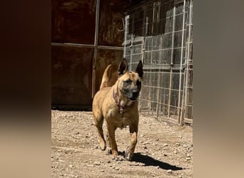 Rea ❤ sucht ihr Für-Immer-Familie