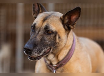 Rea ❤ sucht ihr Für-Immer-Familie