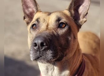 Rea ❤ sucht ihr Für-Immer-Familie