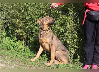 Hank ❇️ hat jetzt lange genug gewartet !!