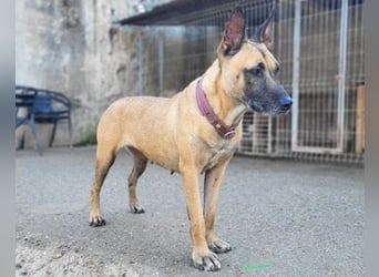 Rea sucht ihr Für-Immer-Zuhause