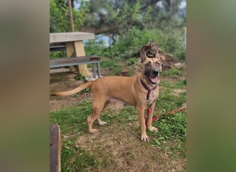 Rea sucht ihr Für-Immer-Zuhause