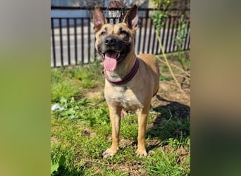 Rea sucht ihre Für-Immer-Familie