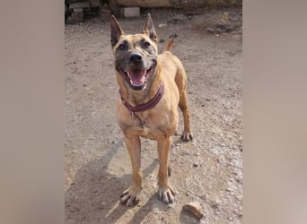 Rea sucht ihr Für-Immer-Zuhause ❤