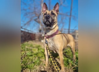 Rea sucht ihr Für-Immer-Zuhause