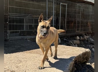 Rea sucht ihr Für-Immer-Zuhause