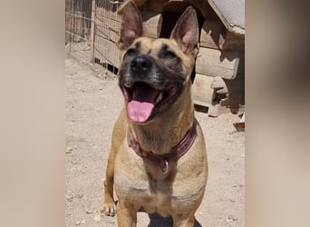 Rea sucht ihre Für-Immer-Familie