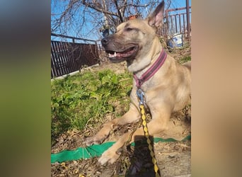 Rea sucht ihr Für-Immer-Zuhause