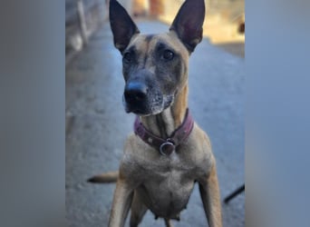 Rea sucht ihr Für-Immer-Zuhause ❤