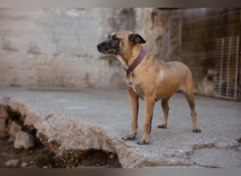 Rea sucht ihr Für-Immer-Zuhause