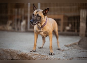 Rea sucht ihre Für-Immer-Familie