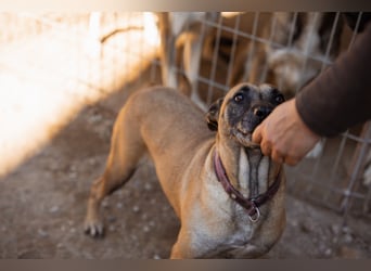 Rea sucht ihr Für-Immer-Zuhause ❤