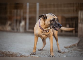 Rea sucht ihr Für-Immer-Zuhause ❤