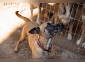 Rea sucht ihr Für-Immer-Zuhause